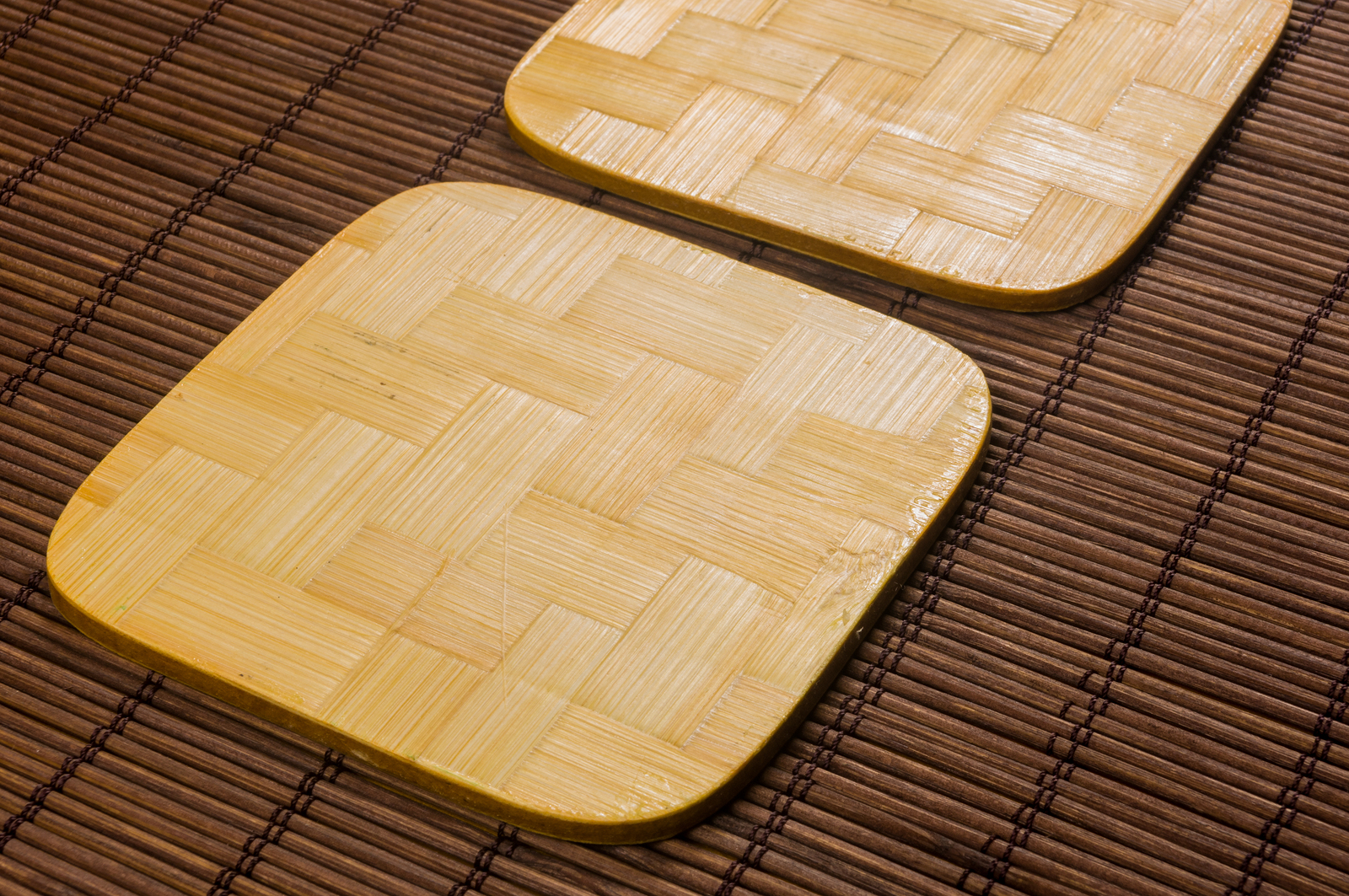 Bamboo Shoots Amazing Wholeness LLC