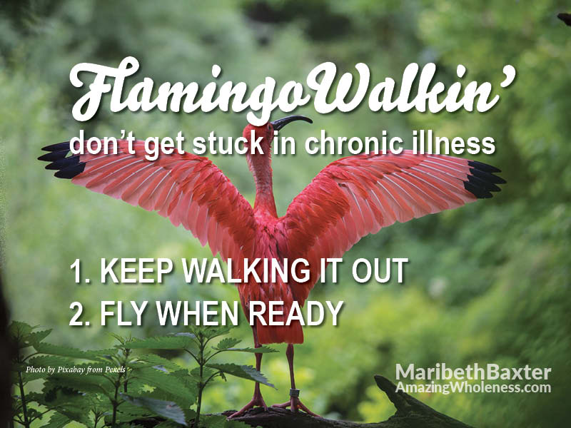 Flamingo walking, don't get stuck in chronic illness