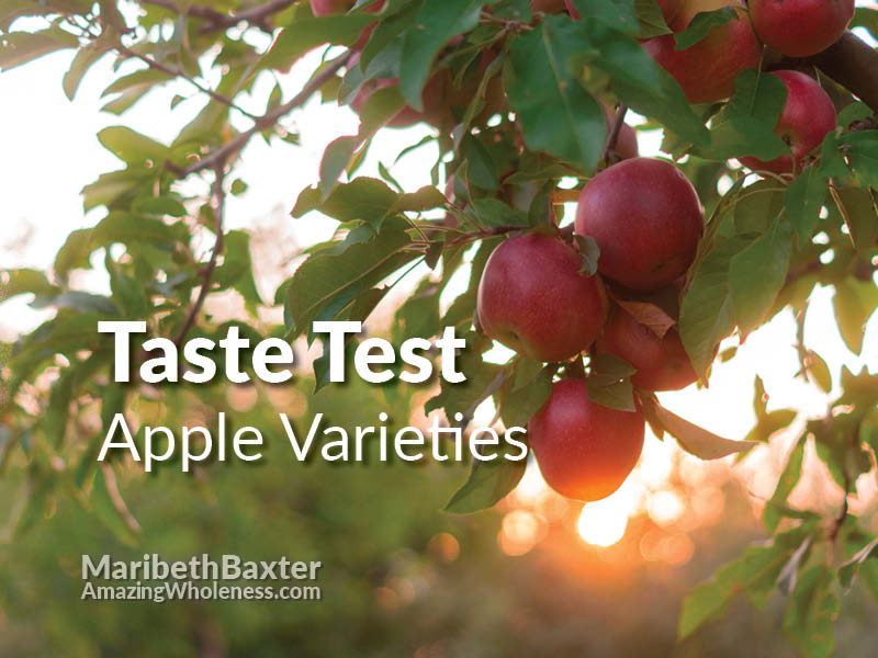 taste testing apple varieties