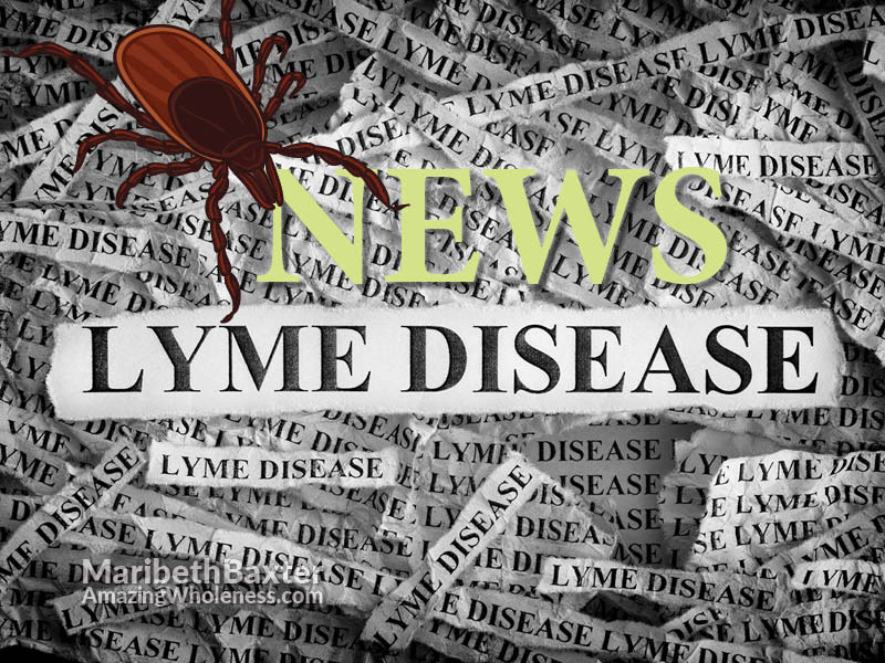 Lyme disease news