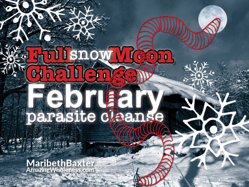 Full Moon Challenge, Parasite Cleanse, February 2020